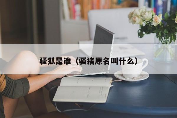 骚狐是谁(骚猪原名叫什么)