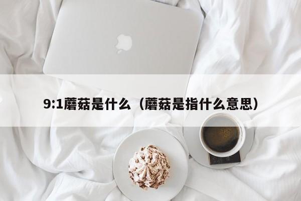 9:1蘑菇是什么(蘑菇是指什么意思)
