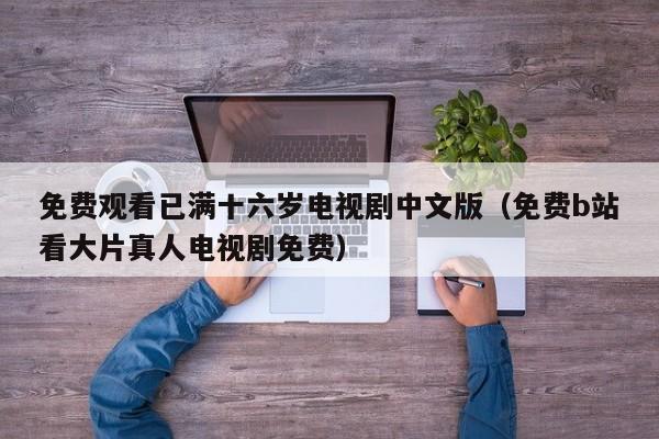 免费观看已满十六岁电视剧中文版(免费b站看大片真人电视剧免费)