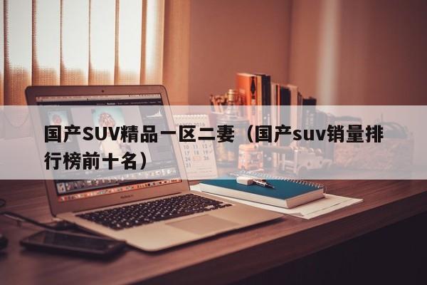 国产SUV精品一区二妻(国产suv销量排行榜前十名)