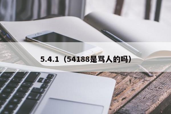 5.4.1(54188是骂人的吗)