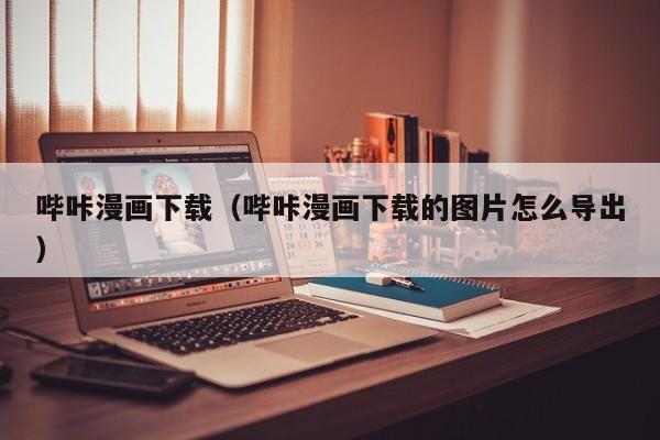 哔咔漫画下载(哔咔漫画下载的图片怎么导出)