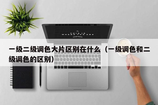一级二级调色大片区别在什么(一级调色和二级调色的区别)