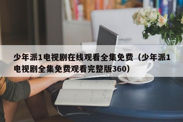 少年派1电视剧在线观看全集免费(少年派1电视剧全集免费观看完整版360)