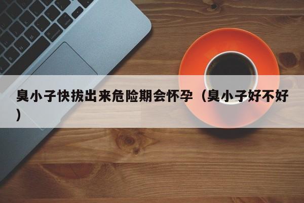 臭小子快拔出来危险期会怀孕(臭小子好不好)