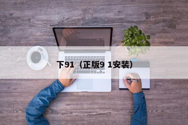 下91(正版9 1安装)