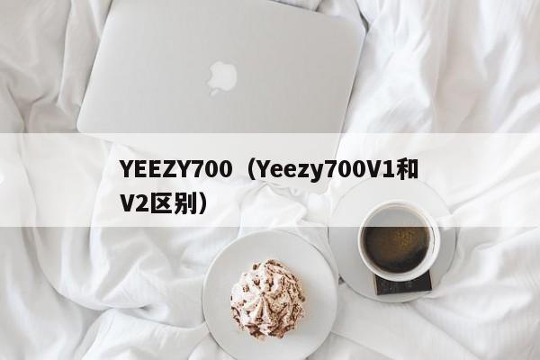 YEEZY700(Yeezy700V1和V2区别)