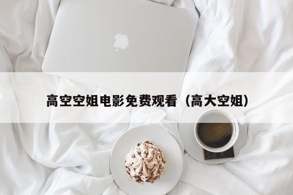 高空空姐电影免费观看(高大空姐)