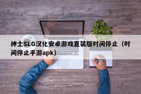 绅士SLG汉化安卓游戏直装版时间停止（时间停止手游apk）