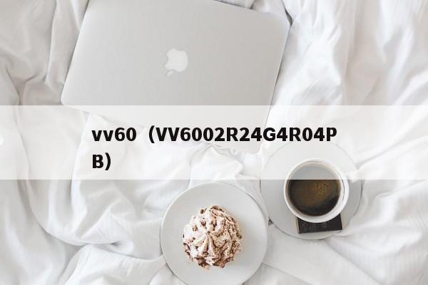 vv60(VV6002R24G4R04PB)