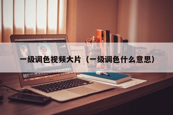 一级调色视频大片(一级调色什么意思)