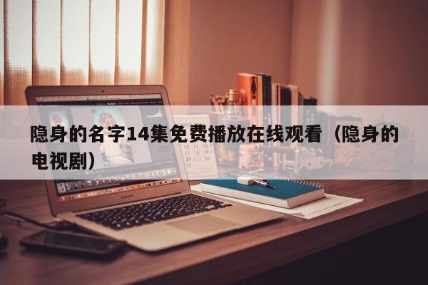 隐身的名字14集免费播放在线观看(隐身的电视剧)