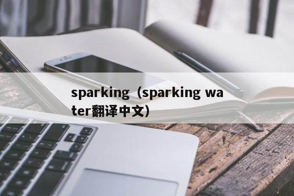 sparking(sparking water翻译中文)