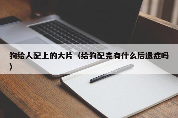 狗给人配上的大片(给狗配完有什么后遗症吗)