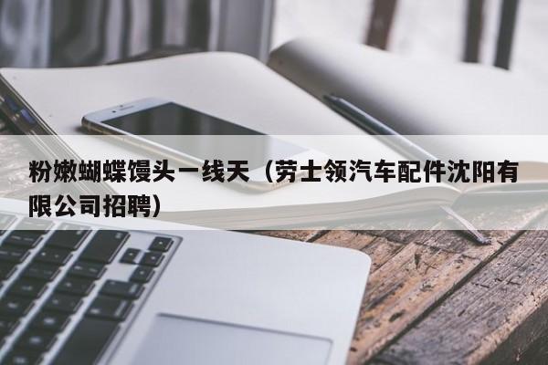 粉嫩蝴蝶馒头一线天(劳士领汽车配件沈阳有限公司招聘)