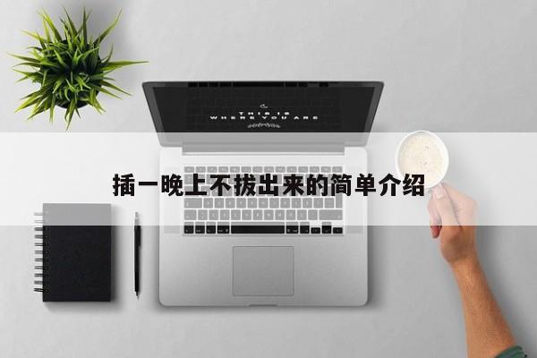 插一晚上不拔出来的简单介绍