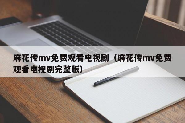 麻花传mv免费观看电视剧(麻花传mv免费观看电视剧完整版)
