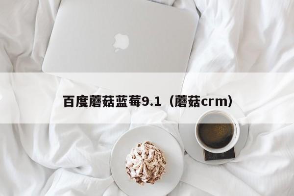 百度蘑菇蓝莓9.1(蘑菇crm)