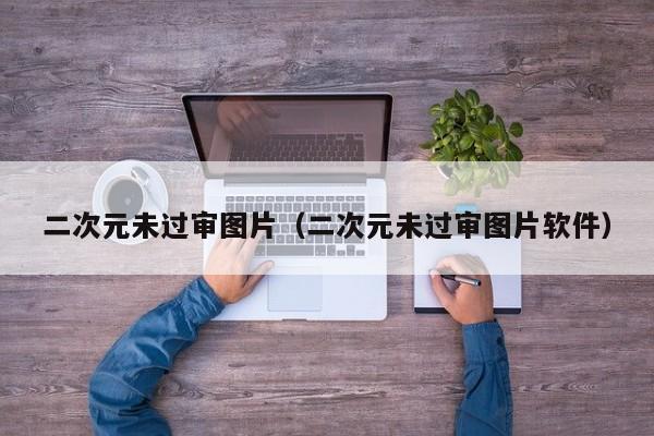 二次元未过审图片(二次元未过审图片软件)