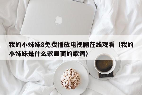 我的小妹妹8免费播放电视剧在线观看(我的小妹妹是什么歌里面的歌词)