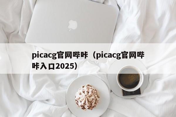 picacg官网哔咔(picacg官网哔咔入口2025)