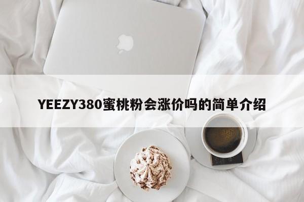 YEEZY380蜜桃粉会涨价吗的简单介绍