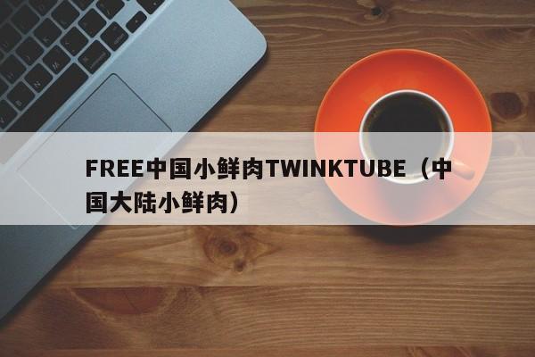 FREE中国小鲜肉TWINKTUBE(中国大陆小鲜肉)