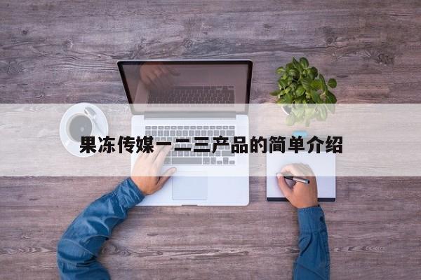 果冻传媒一二三产品的简单介绍