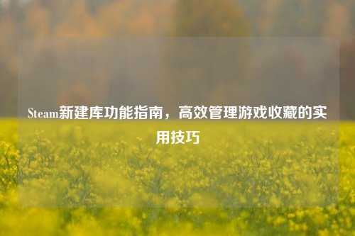 Steam新建库功能指南，高效管理游戏收藏的实用技巧