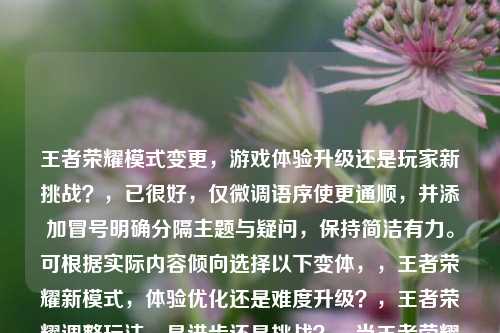 王者荣耀模式变更，游戏体验升级还是玩家新挑战？，已很好，仅微调语序使更通顺，并添加冒号明确分隔主题与疑问，保持简洁有力。可根据实际内容倾向选择以下变体，，王者荣耀新模式，体验优化还是难度升级？，王者荣耀调整玩法，是进步还是挑战？，当王者荣耀改变规则，玩家更爽还是更难？，建议优先选用原风格标题，若需突出争议性可选变体3。）