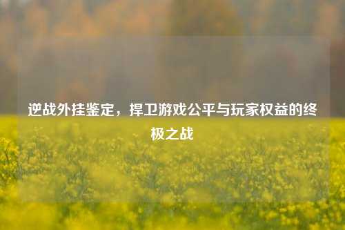 逆战外挂鉴定，捍卫游戏公平与玩家权益的终极之战