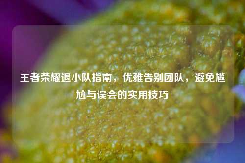 王者荣耀退小队指南，优雅告别团队，避免尴尬与误会的实用技巧