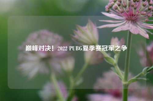 巅峰对决！2022 PUBG夏季赛冠军之争