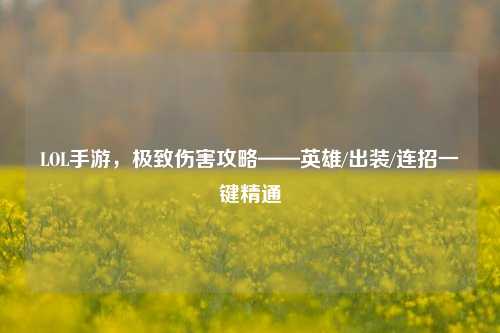 LOL手游，极致伤害攻略——英雄/出装/连招一键精通