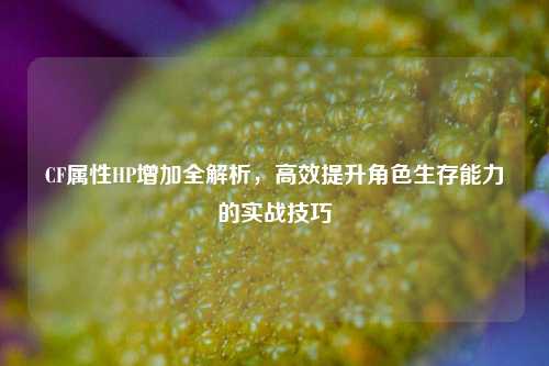 CF属性HP增加全解析，高效提升角色生存能力的实战技巧
