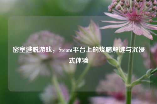密室逃脱游戏，Steam平台上的烧脑解谜与沉浸式体验