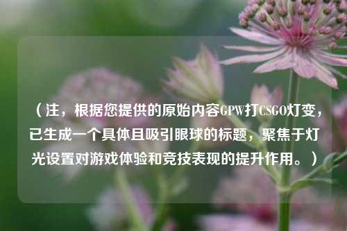（注，根据您提供的原始内容GPW打CSGO灯变，已生成一个具体且吸引眼球的标题，聚焦于灯光设置对游戏体验和竞技表现的提升作用。）