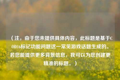（注，由于您未提供具体内容，此标题是基于COD16标记功能问题这一常见游戏话题生成的。若您能提供更多背景信息，我可以为您创建更精准的标题。）
