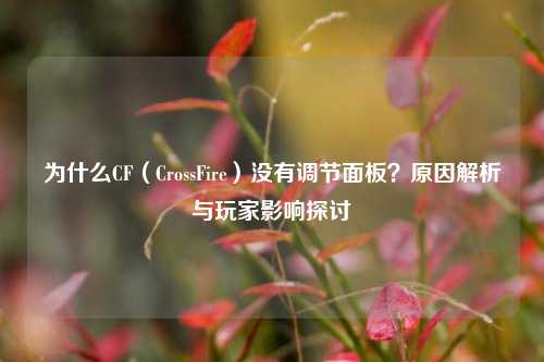为什么CF（CrossFire）没有调节面板？原因解析与玩家影响探讨