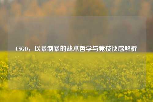 CSGO，以暴制暴的战术哲学与竞技 *** 解析