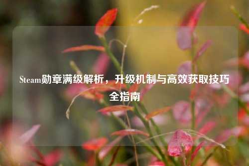 Steam勋章满级解析，升级机制与高效获取技巧全指南