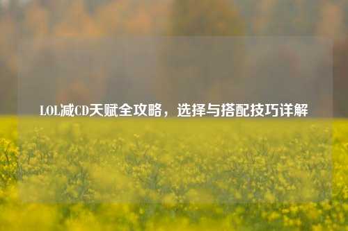 LOL减CD天赋全攻略，选择与搭配技巧详解
