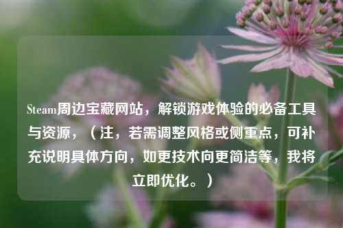 Steam周边宝藏网站，解锁游戏体验的必备工具与资源，（注，若需调整风格或侧重点，可补充说明具体方向，如更技术向更简洁等，我将立即优化。）