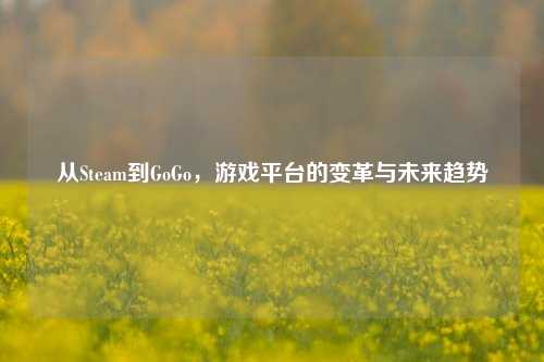 从Steam到GoGo，游戏平台的变革与未来趋势