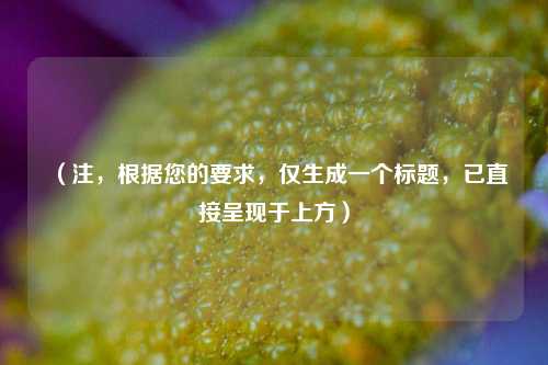 （注，根据您的要求，仅生成一个标题，已直接呈现于上方）