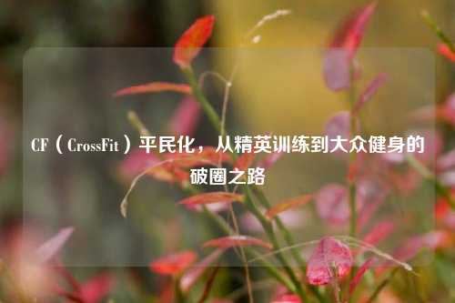 CF（CrossFit）平民化，从精英训练到大众健身的破圈之路