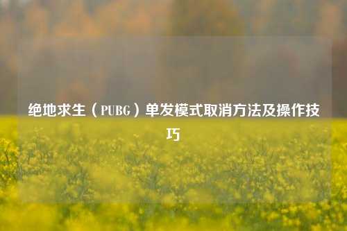 绝地求生（PUBG）单发模式取消 *** 及操作技巧