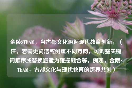 金陵STEAM，当古都文化邂逅现代教育创新，（注，若需更简洁或侧重不同方向，可调整关键词顺序或替换邂逅为碰撞融合等，例如，金陵STEAM，古都文化与现代教育的跨界共创）