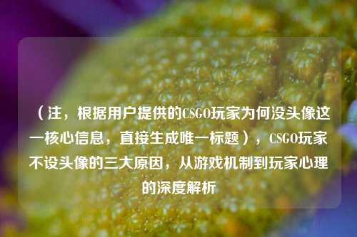 （注，根据用户提供的CSGO玩家为何没头像这一核心信息，直接生成唯一标题），CSGO玩家不设头像的三大原因，从游戏机制到玩家心理的深度解析