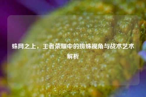 蛛网之上，王者荣耀中的蜘蛛视角与战术艺术解析